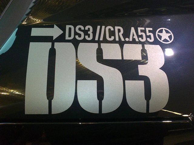 DS3R (12)