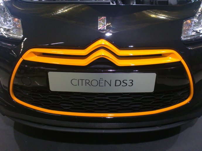 DS3R (16)