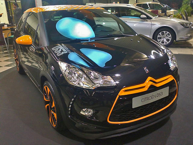 DS3R (17)