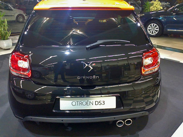 DS3R (9)