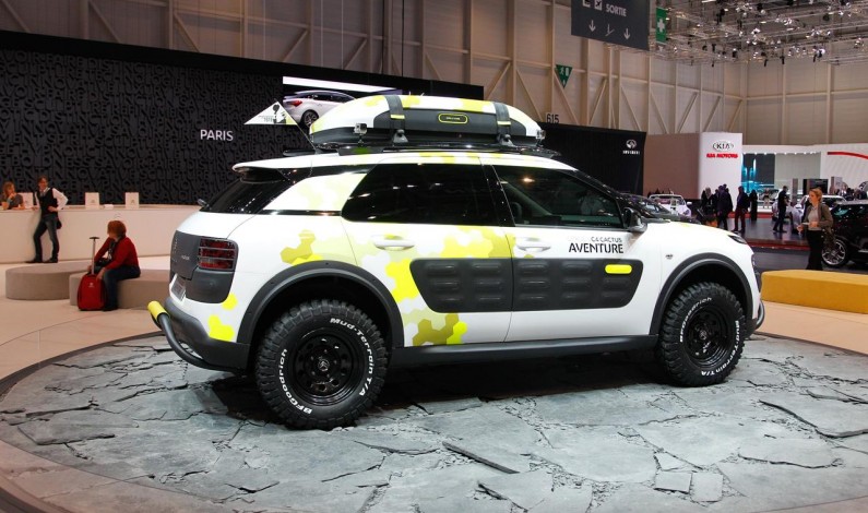 C4 Cactus: Nivel de Acabados.