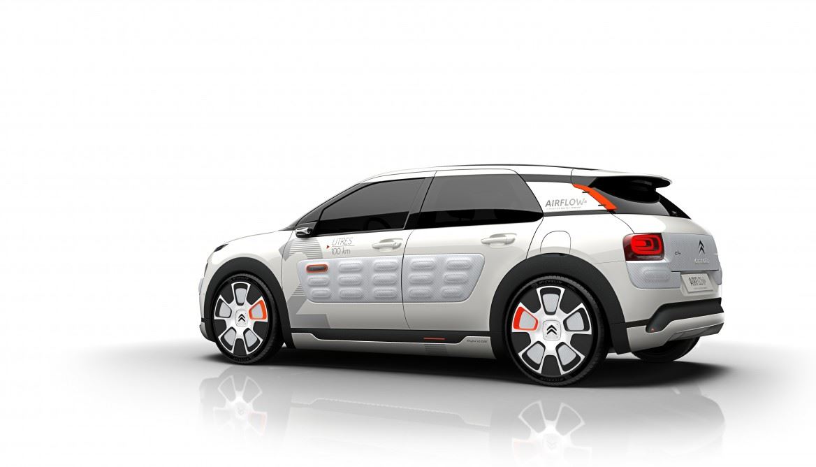 C4 Cactus Airflow 2L (10)