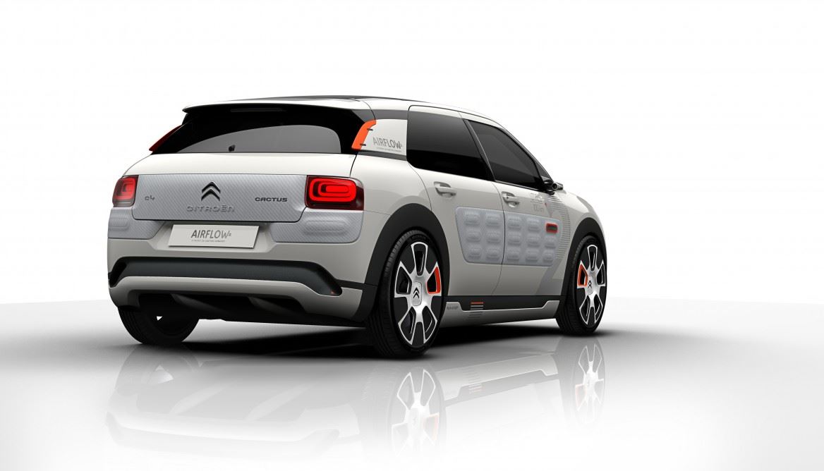 C4 Cactus Airflow 2L (12)