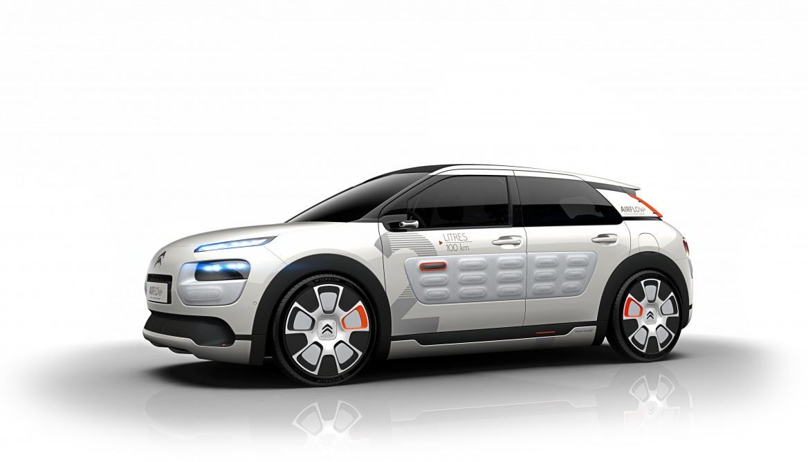 C4 Cactus Airflow 2L (6)